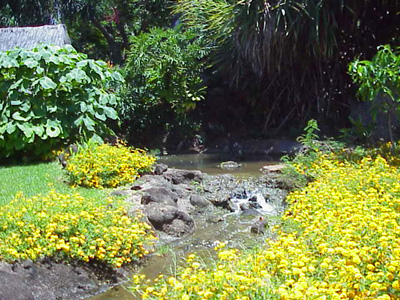 Gardens of Hawai'i