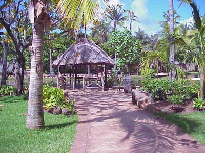 Path out of Tahitian village