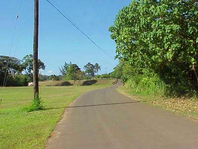 Plantation road