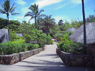Path to Islands of Hawai'i