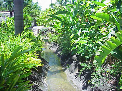Gardens of Hawai'i