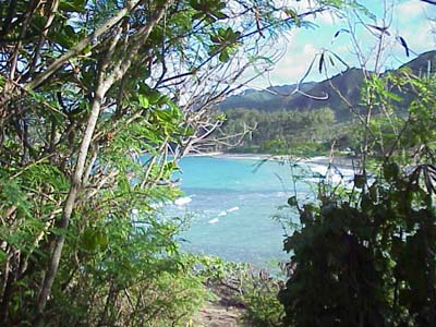 View of Mahakea Beach