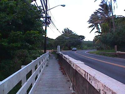 Foot Bridge